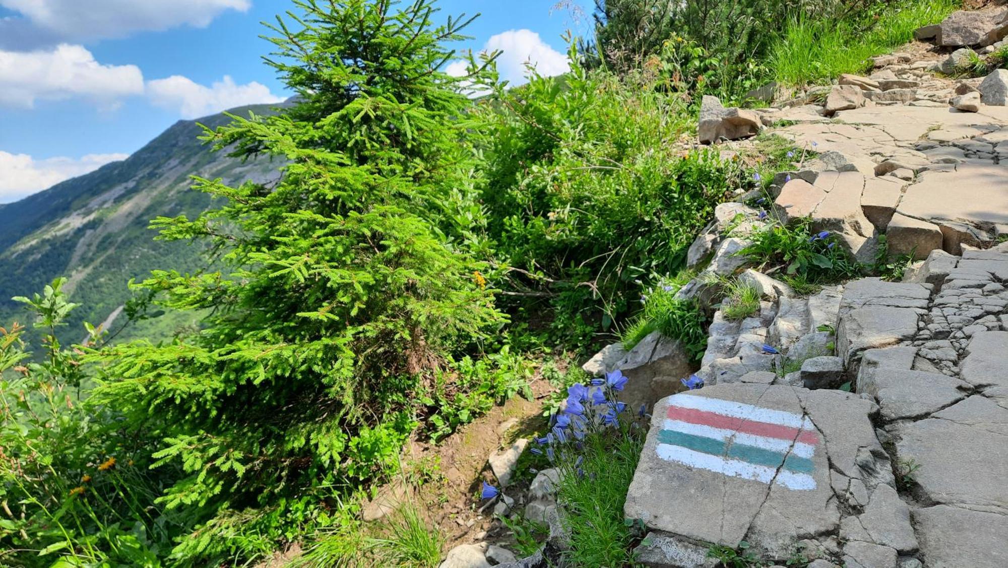 Apartmán Siedlisko Babia Gora Zawoja Exteriér fotografie