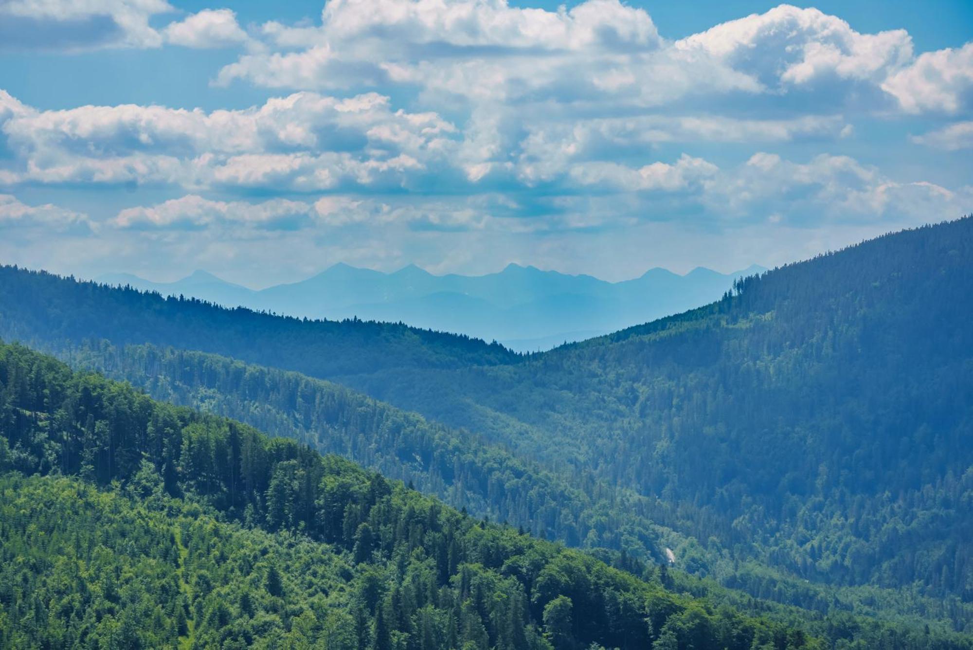 Apartmán Siedlisko Babia Gora Zawoja Exteriér fotografie