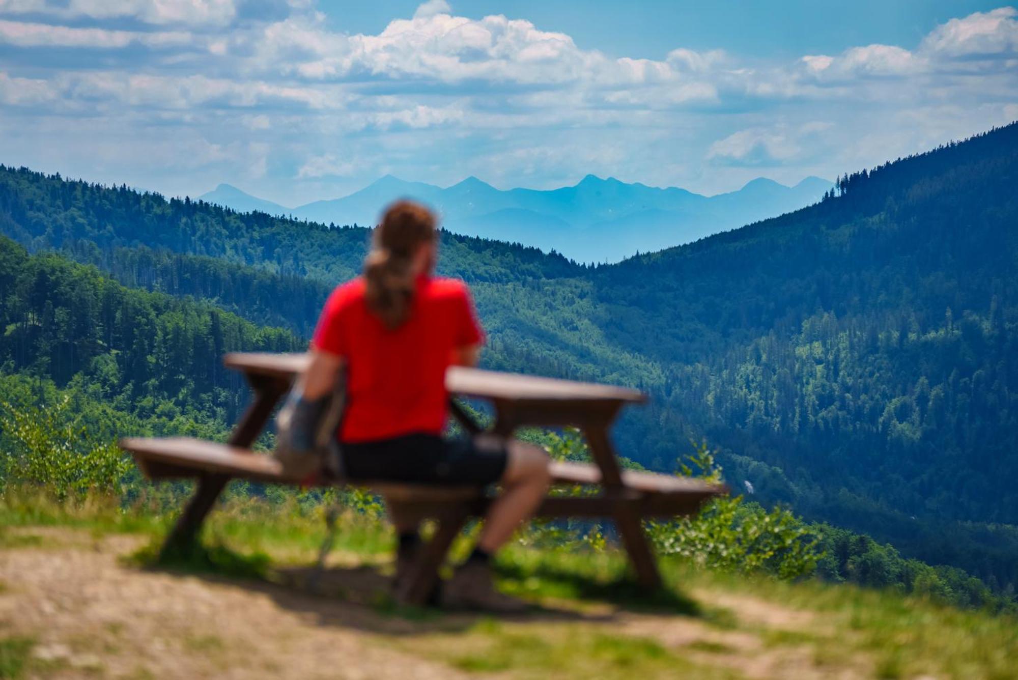Apartmán Siedlisko Babia Gora Zawoja Exteriér fotografie