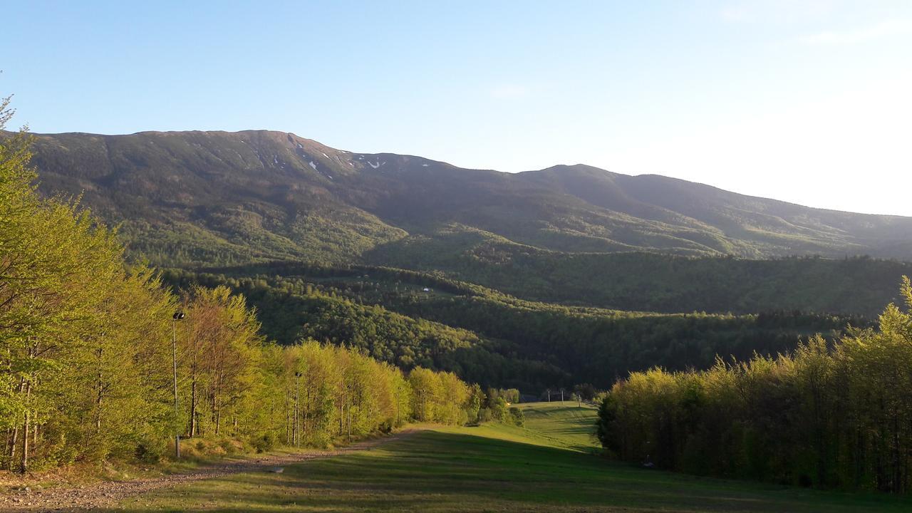 Noclegi Mosorny Gron Zawoja Exteriér fotografie